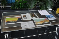 SDC11215